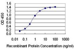 Detection limit for recombinant GST tagged TOPBP1 is 0. (TOPBP1 抗体  (AA 1327-1435))