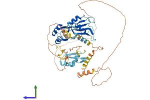 Protein Structure (PS) image for CUGBP, Elav-Like Family Member 4 (CELF4) (AA 1-486) protein (His tag) (ABIN7558301)
