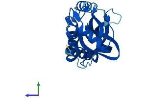 Protein Structure (PS) image for ChaC, Cation Transport Regulator Homolog 2 (CHAC2) (AA 1-178) protein (His tag) (ABIN7560541)