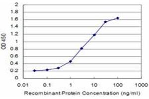 Detection limit for recombinant GST tagged CDH11 is approximately 0. (OB Cadherin 抗体  (AA 509-617))