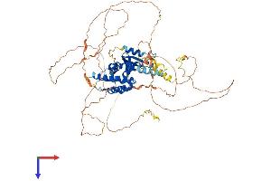 AlphaFold protein structure predicition of Mouse Recombinant Gas2l3 Protein, UniprotID Q3UWW6 (GAS2L3 Protein (AA 1-683) (His tag))