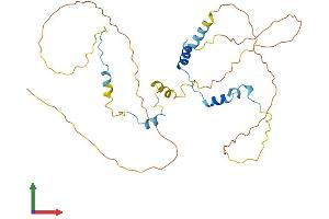 AlphaFold protein structure predicition of Mouse Recombinant Aven Protein, UniprotID Q9D9K3