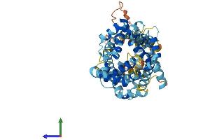 Protein Structure (PS) image for Solute Carrier Family 25 (Mitochondrial Carrier, Phosphate Carrier), Member 25 (SLC25A25) (AA 1-469) protein (His tag) (ABIN7555443)