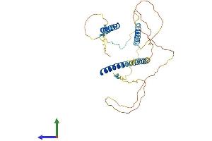 Protein Structure (PS) image for Mitochondrial Fission Factor (MFF) (AA 1-342) protein (His tag) (ABIN7549337)