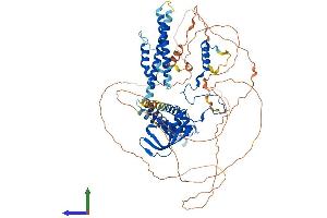 Protein Structure (PS) image for CCR4-NOT Transcription Complex, Subunit 3 (CNOT3) (AA 1-753) protein (His tag) (ABIN7553535)