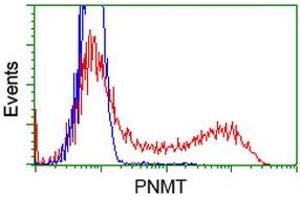 Flow Cytometry (FACS) image for anti-Phenylethanolamine N-Methyltransferase (PNMT) antibody (ABIN1500310) (PNMT 抗体)