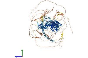 AlphaFold protein structure predicition of Human Recombinant SYNGAP1 Protein, UniprotID Q96PV0
