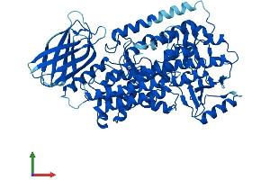AlphaFold protein structure predicition of Mouse Recombinant Alox12 Protein, UniprotID P39655 (ALOX12 Protein (AA 1-663) (His tag))