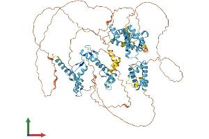 AlphaFold protein structure predicition of Human Recombinant ZSCAN29 Protein, UniprotID Q8IWY8