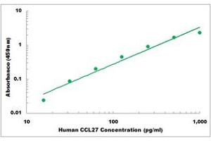 Representative Standard Curve (CCL27 ELISA 试剂盒)