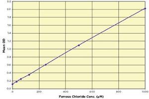 Image no. 1 for FRAP™ (Ferric Reducing Antioxidant Power) Detection Kit (ABIN2815085) (FRAP™ (Ferric Reducing Antioxidant Power) Detection Kit)