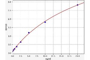 Typical standard curve (RAP1GDS1 ELISA 试剂盒)