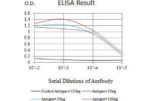 Black line: Control Antigen (100 ng),Purple line: Antigen (10 ng), Blue line: Antigen (50 ng), Red line:Antigen (100 ng) (PRAS40 抗体  (AA 92-276))