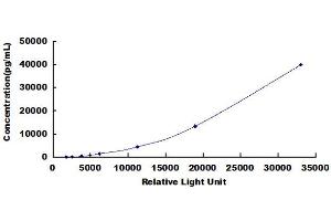 ELISA image for Mucin 5 Subtype B (MUC5B) CLIA Kit (ABIN1081771)