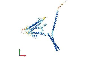 Protein Structure (PS) image for Potassium Intermediate/small Conductance Calcium-Activated Channel, Subfamily N, Member 4 (KCNN4) (AA 1-427) protein (His tag) (ABIN7554251)