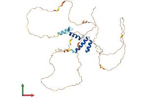 Protein Structure (PS) image for Single Stranded DNA Binding Protein 3 (SSBP3) (AA 1-388) protein (His tag) (ABIN7560813)