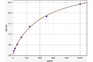 Typical standard curve (FOLR2 ELISA 试剂盒)