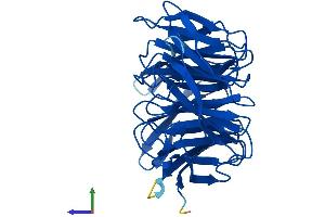 Protein Structure (PS) image for Cytosolic Iron-Sulfur Protein Assembly 1 (CIAO1) (AA 1-339) protein (His tag) (ABIN7560343)
