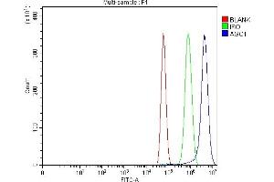 Flow Cytometry analysis of U87 cells using anti-AGO1 antibody (ABIN7602627).