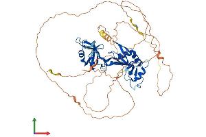 Protein Structure (PS) image for Cytoplasmic Polyadenylation Element Binding Protein 2 (CPEB2) (AA 1-589) protein (His tag) (ABIN7546792)