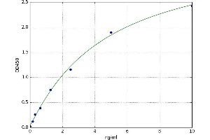 A typical standard curve