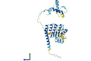 Protein Structure (PS) image for Tropomodulin 1 (TMOD1) (AA 1-359) protein (His tag) (ABIN7563348)