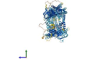 Protein Structure (PS) image for ATP-Binding Cassette, Sub-Family C (CFTR/MRP), Member 10 (ABCC10) (AA 1-1501) protein (His tag) (ABIN7564713)