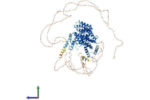 AlphaFold protein structure predicition of Mouse Recombinant Cwc22 Protein, UniprotID Q8C5N3