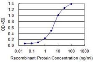 Detection limit for recombinant GST tagged HES1 is 0. (HES1 抗体  (AA 201-280))