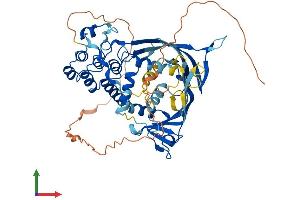 Protein Structure (PS) image for Ankyrin Repeat Domain 13C (ANKRD13C) (AA 1-541) protein (His tag) (ABIN7557304)