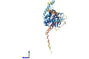 Protein Structure (PS) image for Patatin-Like phospholipase Domain Containing 2 (PNPLA2) (AA 1-486) protein (His tag) (ABIN7564371)