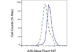 Validation of JUN knockdown using flow cytometry. (C-JUN 抗体)