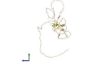 AlphaFold protein structure predicition of Human Recombinant PROCA1 Protein, UniprotID Q8NCQ7