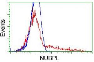 Flow Cytometry (FACS) image for anti-Nucleotide Binding Protein-Like (NUBPL) (AA 1-250) antibody (ABIN1490634) (NUBPL 抗体  (AA 1-250))