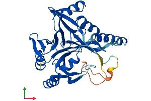 Protein Structure (PS) image for Glyoxalase Domain Containing 4 (GLOD4) (AA 1-313) protein (His tag) (ABIN7547994)