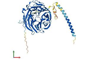 Protein Structure (PS) image for Coronin, Actin Binding Protein, 2B (CORO2B) (AA 1-480) protein (His tag) (ABIN7546730)