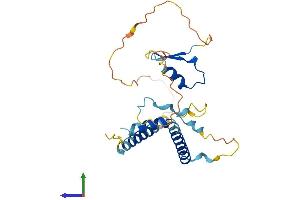 AlphaFold protein structure predicition of Mouse Recombinant Lin37 Protein, UniprotID Q9D8N6