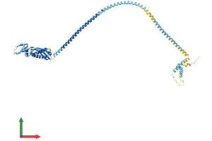 AlphaFold protein structure predicition of Human Recombinant FLOT1 Protein, UniprotID O75955