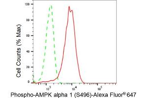 Flow cytometric analysis of Phospho-AMPK alpha 1 (S496) expression in HeLa cells using Phospho-AMPK alpha 1 (S496) antibody (ABIN7800008), 1:2,000). (Recombinant PRKAA1 抗体  (pSer496))
