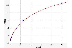 Typical standard curve (PSMB10 ELISA 试剂盒)