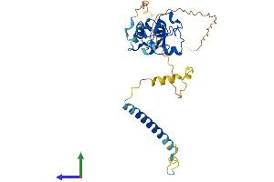 Protein Structure (PS) image for Zinc Finger Protein-Like 1 (ZFPL1) (AA 1-310) protein (His tag) (ABIN7545728)