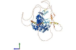 Protein Structure (PS) image for Polymerase (DNA Directed) kappa (POLK) (AA 1-870) protein (His tag) (ABIN7555054)