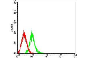 Flow cytometric analysis of K562 cells using GRM6 mouse mAb (green) and negative control (red). (Metabotropic Glutamate Receptor 6 抗体  (AA 480-585))