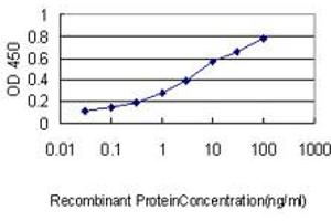 Detection limit for recombinant GST tagged PCNA is approximately 0. (PCNA 抗体  (AA 1-261))