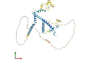 Protein Structure (PS) image for CWC25 Spliceosome-Associated Protein Homolog (CWC25) (AA 1-416) protein (His tag) (ABIN7561279)