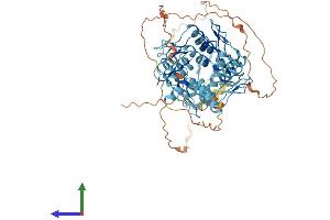 AlphaFold protein structure predicition of Human Recombinant ZNF805 Protein, UniprotID Q5CZA5 (ZNF805 Protein (AA 1-627) (His tag))