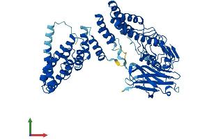 Protein Structure (PS) image for Rab Geranylgeranyltransferase, alpha Subunit (RABGGTA) (AA 1-567) protein (His tag) (ABIN7550710)