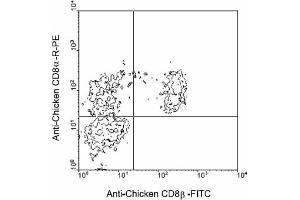 Flow Cytometry (FACS) image for anti-CD8b Molecule (CD8B) antibody (FITC) (ABIN371368) (CD8B 抗体  (FITC))