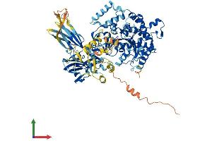 AlphaFold protein structure predicition of Mouse Recombinant Pla2g4f Protein, UniprotID Q50L41