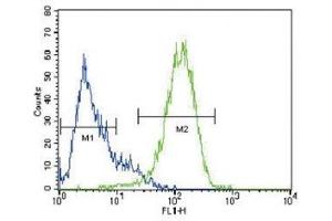 Flow Cytometry (FACS) image for anti-ATP-Binding Cassette, Sub-Family G (WHITE), Member 2 (ABCG2) (AA 305-335) antibody (ABIN3030062)